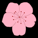 91熊猫APP 91熊猫APP